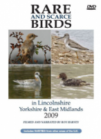 Rare and Scarce Birds in Lincolnshire, Yorkshire & East Midlands 2009 DVD